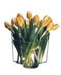 aalto_tulips_x221-savoy-vas6