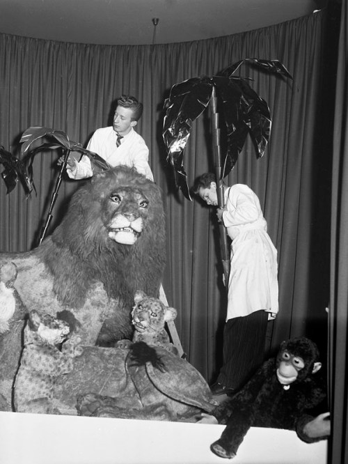 SSMSVD036393S NK julskyltning 1952